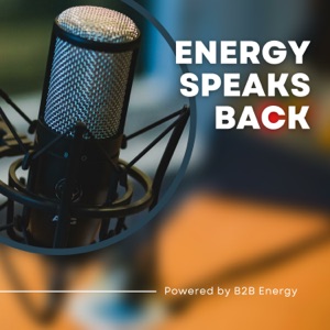 Pascal Dricot Energy Speaks Back Exploring the energy within